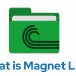Torrent Magnet - What is Magnet Link and How To use It ?